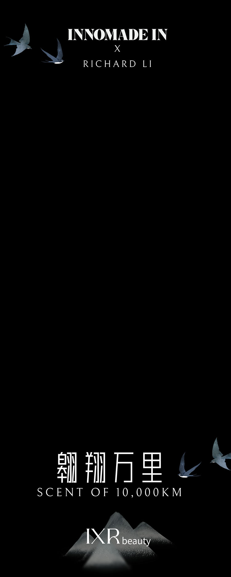 翱翔万里